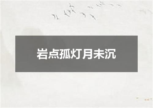 岩点孤灯月未沉