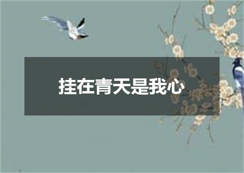 挂在青天是我心