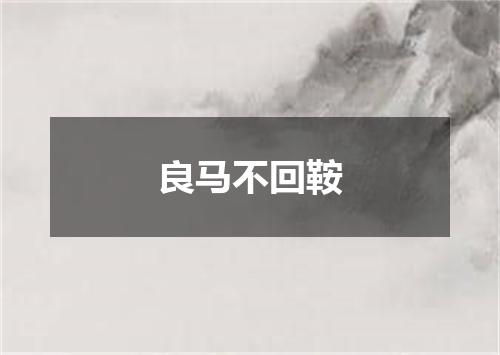 良马不回鞍