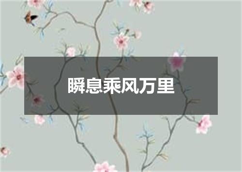 瞬息乘风万里
