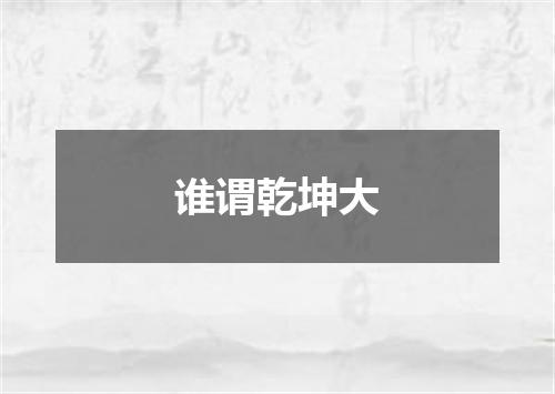 谁谓乾坤大