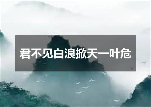 君不见白浪掀天一叶危