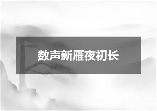 数声新雁夜初长