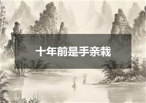 十年前是手亲栽