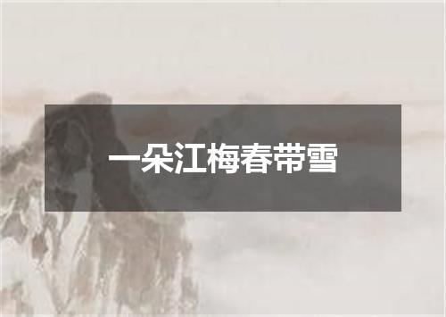 一朵江梅春带雪