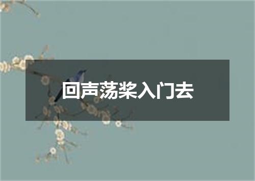 回声荡桨入门去