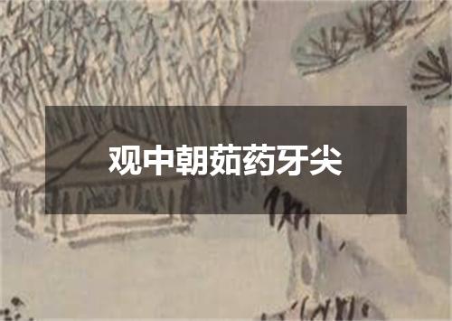 观中朝茹药牙尖