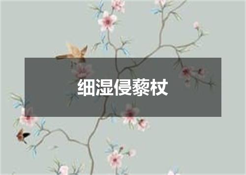 细湿侵藜杖