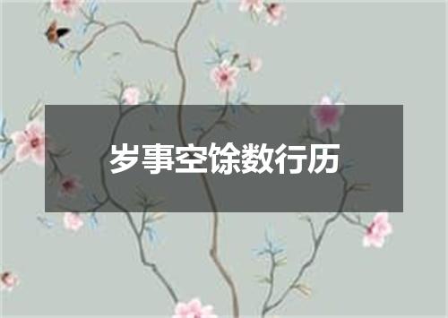 岁事空馀数行历