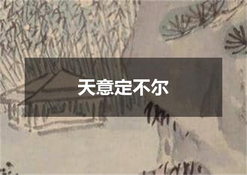 天意定不尔