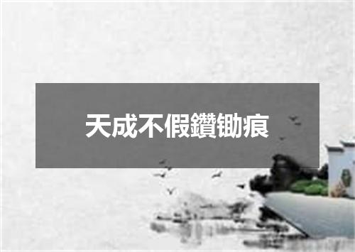 天成不假鑽锄痕