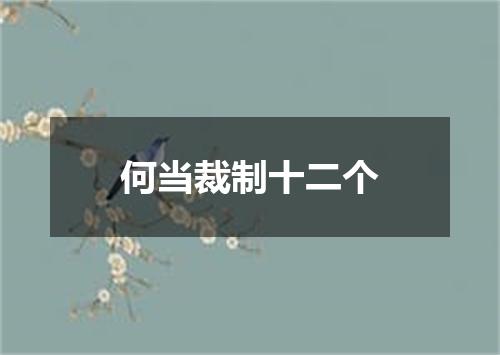 何当裁制十二个