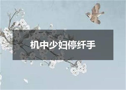 机中少妇停纤手