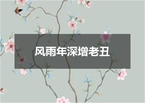 风雨年深增老丑