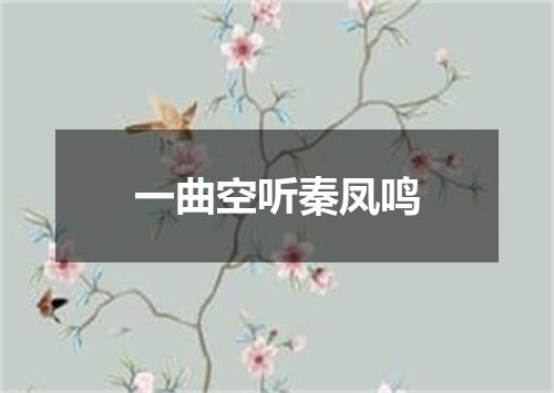 一曲空听秦凤鸣