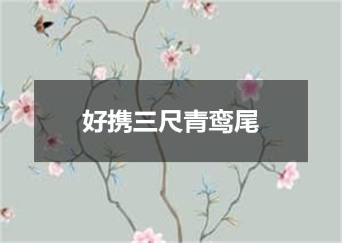 好携三尺青鸾尾
