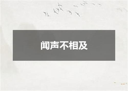 闻声不相及