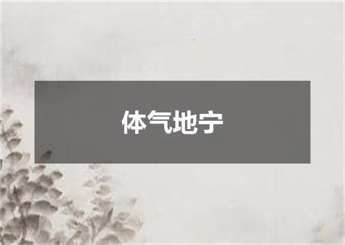 体气地宁