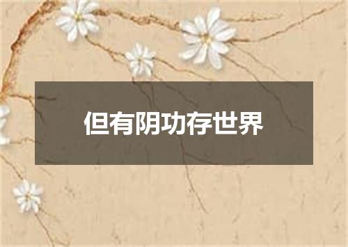 但有阴功存世界