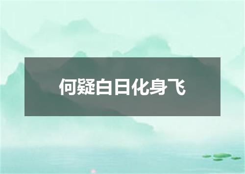 何疑白日化身飞