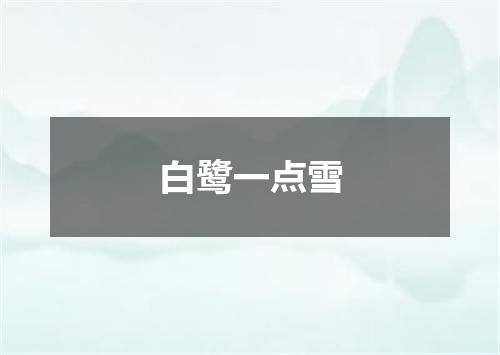 白鹭一点雪