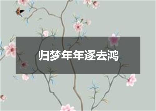归梦年年逐去鸿