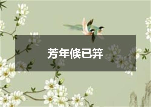 芳年倏已笄