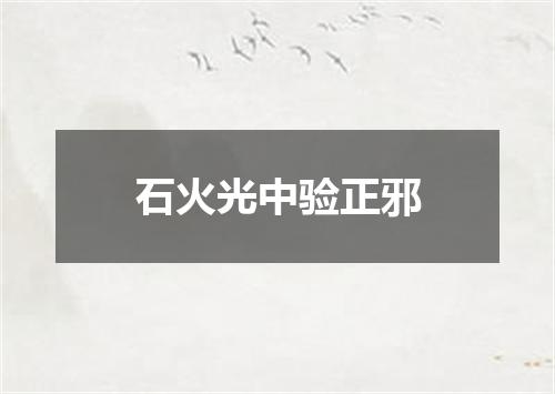 石火光中验正邪