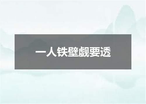 一人铁壁觑要透