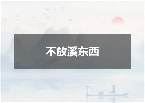 不放溪东西