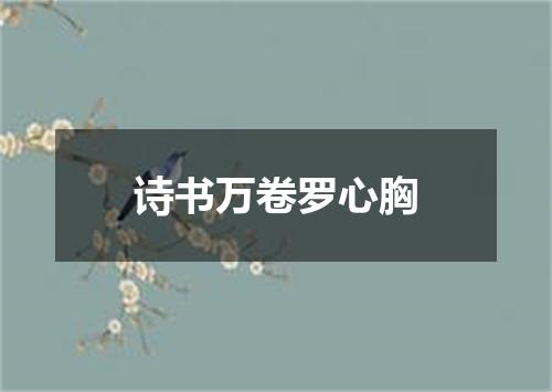 诗书万卷罗心胸