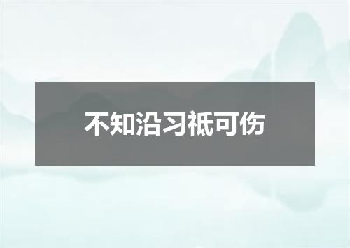 不知沿习祗可伤