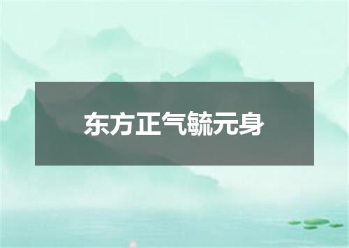 东方正气毓元身