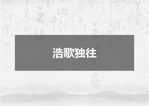 浩歌独往