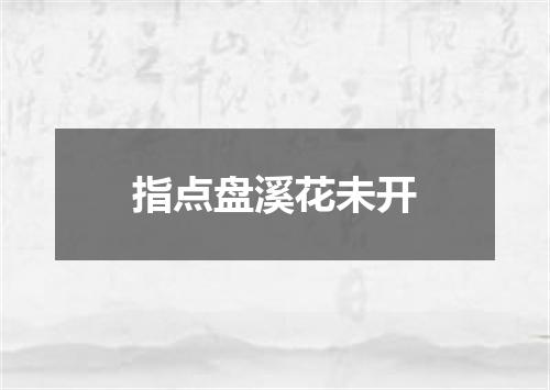 指点盘溪花未开