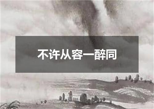 不许从容一醉同