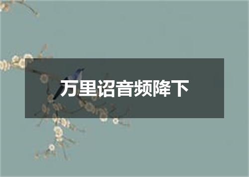 万里诏音频降下