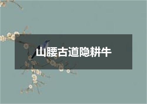 山腰古道隐耕牛