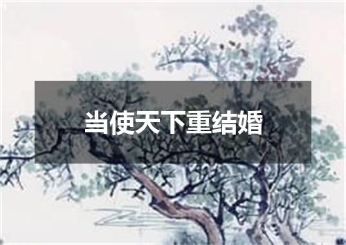 当使天下重结婚
