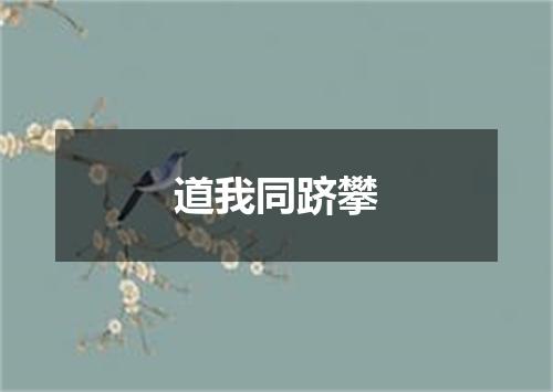 道我同跻攀