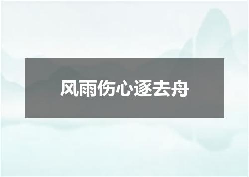 风雨伤心逐去舟