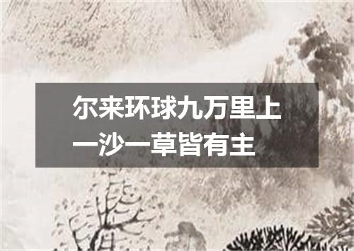 尔来环球九万里上一沙一草皆有主