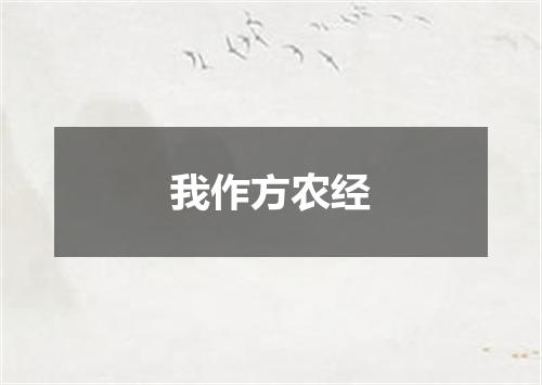 我作方农经