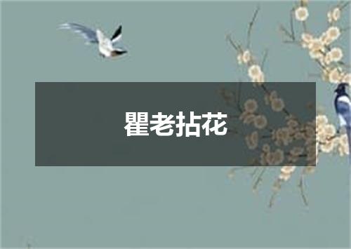 瞿老拈花