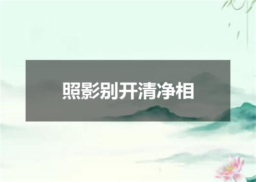 照影别开清净相