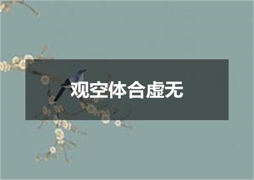观空体合虚无