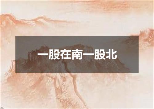 一股在南一股北