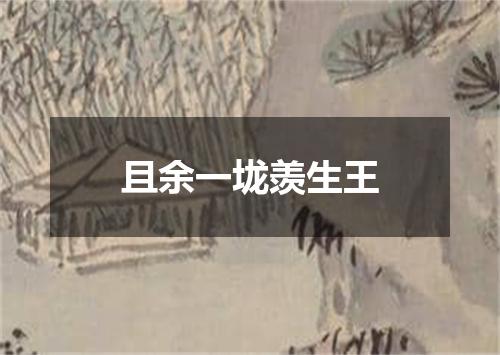 且余一垅羡生王