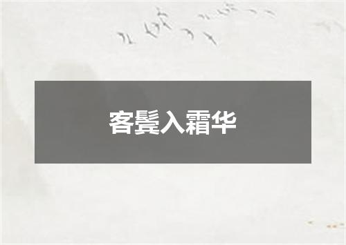 客鬓入霜华