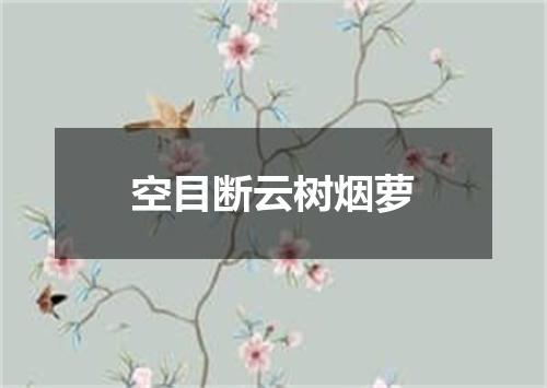 空目断云树烟萝